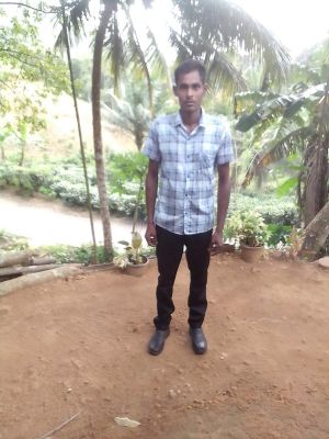 User Image